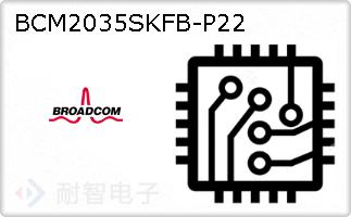 BCM2035SKFB-P22