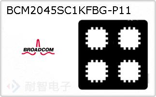 BCM2045SC1KFBG-P11