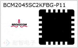 BCM2045SC2KFBG-P11ͼƬ