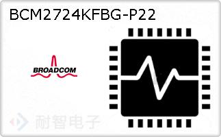 BCM2724KFBG-P22