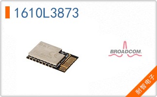 1610L3873