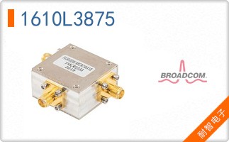 1610L3875