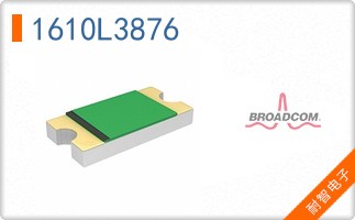 1610L3876