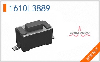 1610L3889