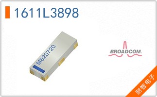 1611L3898