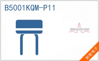 B5001KQM-P11
