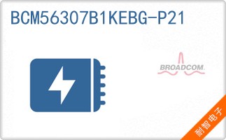 BCM56307B1KEBG-P21