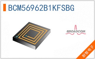 BCM56962B1KFSBG