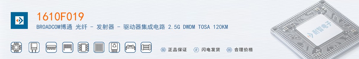 1610F019������