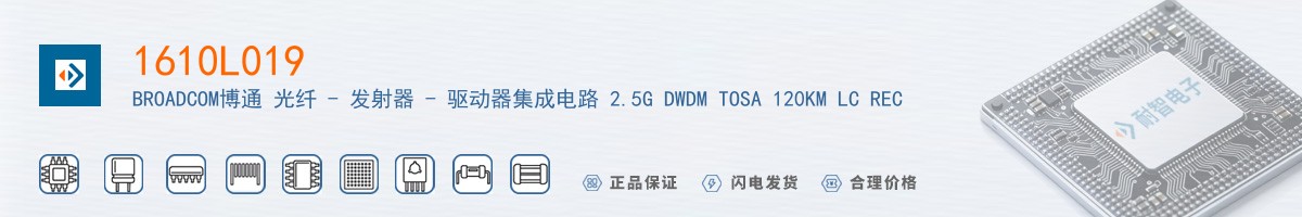 1610L019������