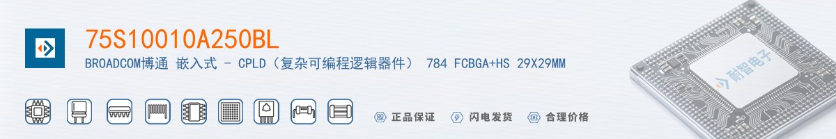 75S10010A250BL������