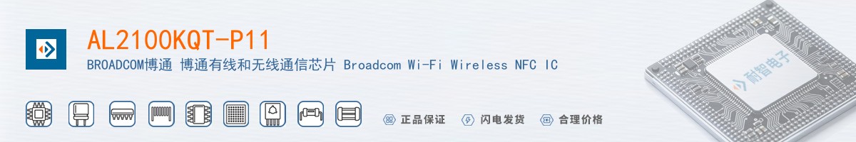 AL2100KQT-P11������
