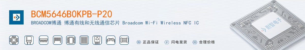 BCM5646B0KPB-P20������