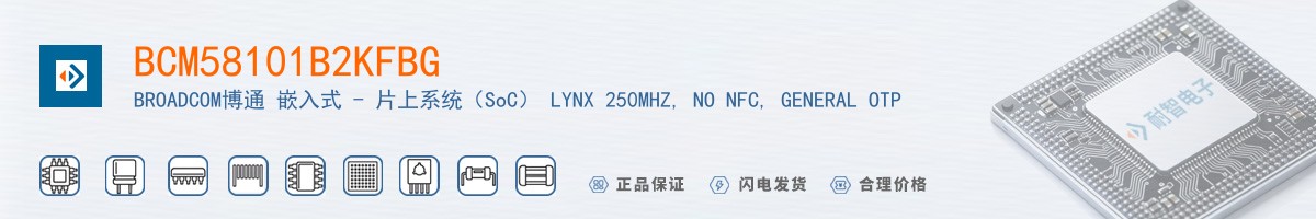 BCM58101B2KFBG������