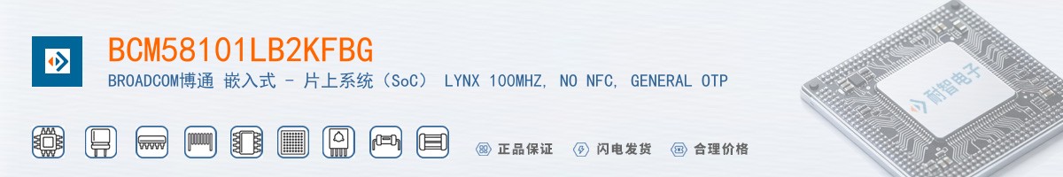 BCM58101LB2KFBG������