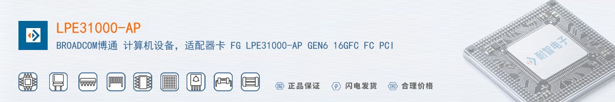 LPE31000-AP������