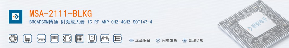 MSA-2111-BLKG������