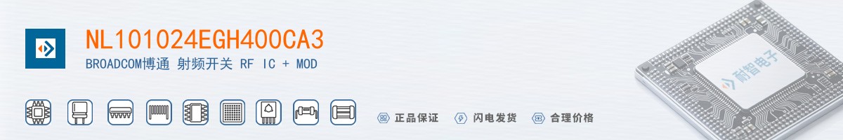 NL101024EGH400CA3������