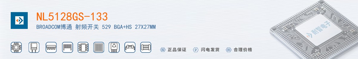 NL5128GS-133������
