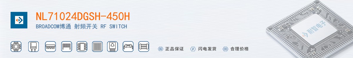 NL71024DGSH-450H������