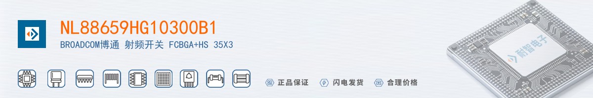 NL88659HG10300B1������