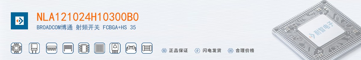 NLA121024H10300B0������