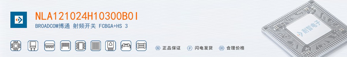 NLA121024H10300B0I������