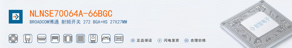 NLNSE70064A-66BGC������