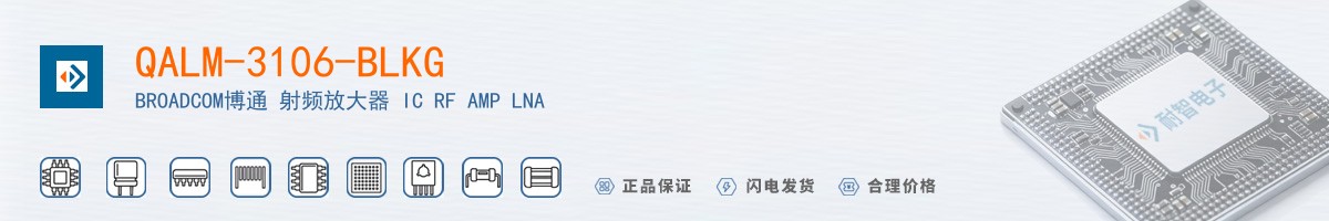 QALM-3106-BLKG������