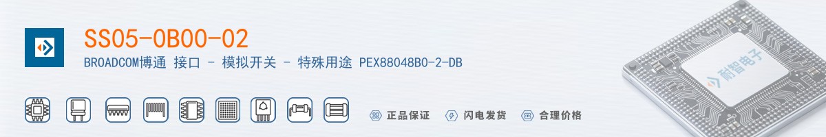 SS05-0B00-02������