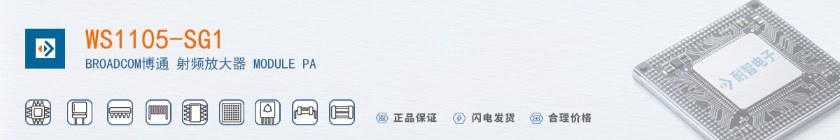 WS1105-SG1������