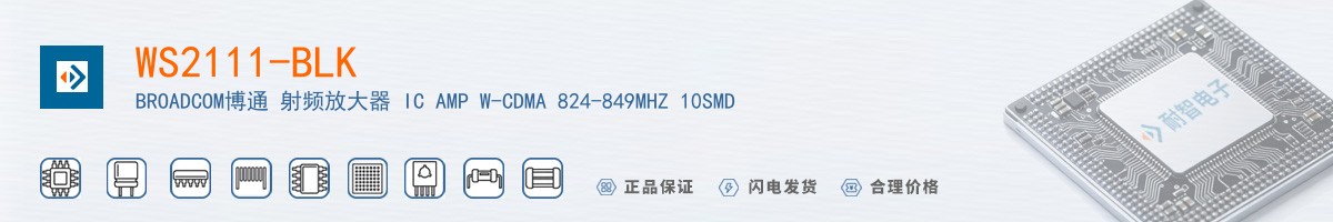 WS2111-BLK������