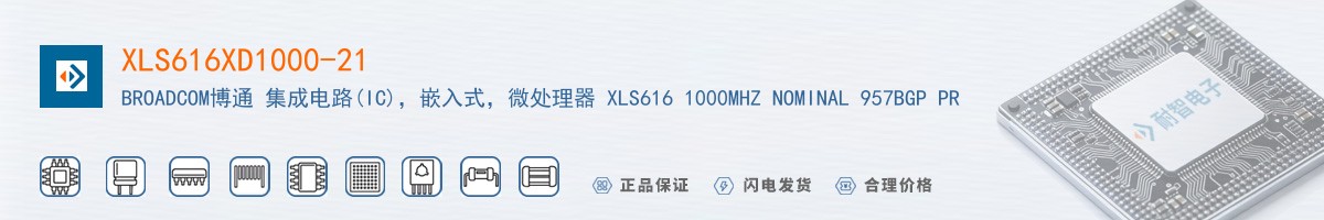 XLS616XD1000-21������
